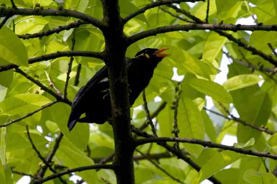 春天音乐会 春天音乐会