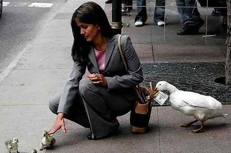 孩子们，给妈妈打掩护