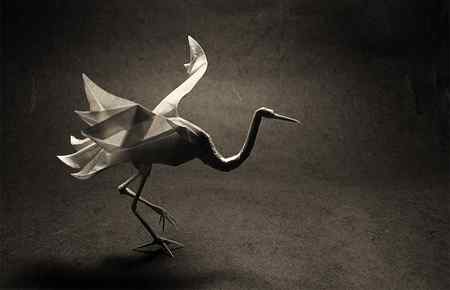 动物折纸 动物折纸