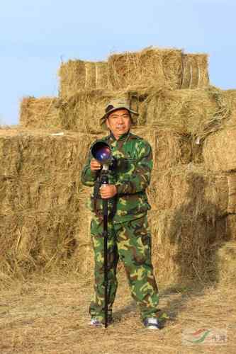 林甸的白头鹤 林甸的白头鹤