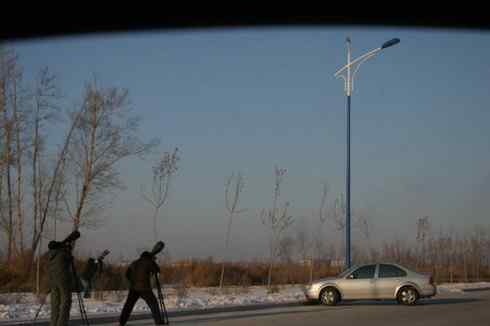 大庆猛鸮的生物链