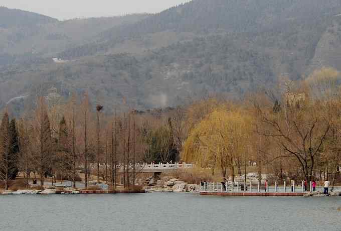 三只小鸟 wbr满园春色