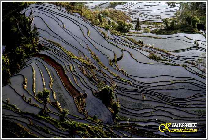 如梦的元阳梯田【照片】 如梦的元阳梯田【照片】