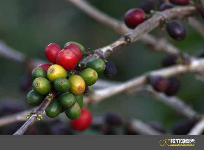 鈥溎竦尖澙虾睢炯褪怠 鈥溎竦尖澙虾睢炯褪怠