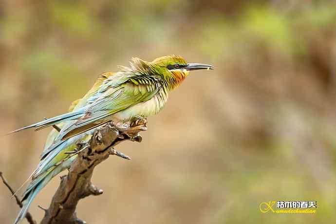 失而复得的鈥溊鹾矸浠⑩