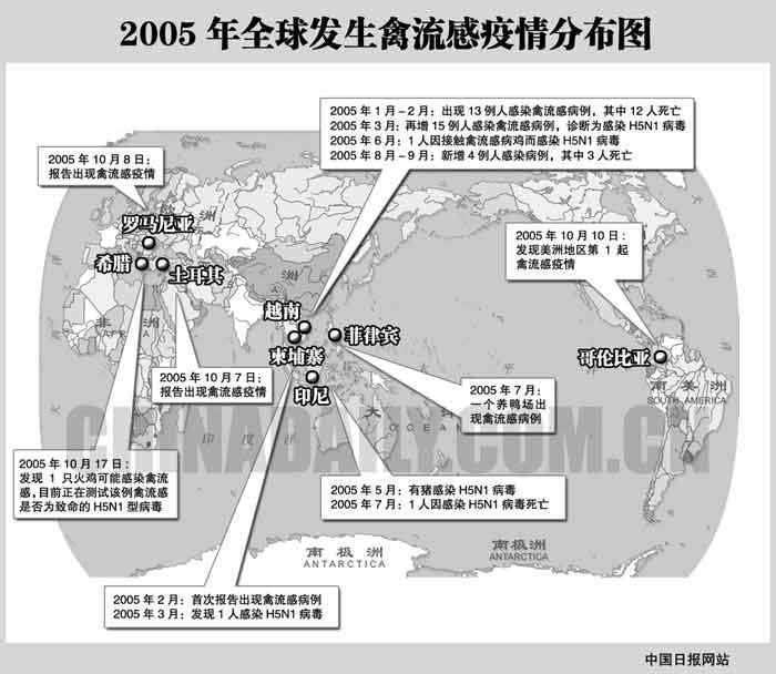 野生鸟类可能在迁徙中将禽流感病毒带进美洲