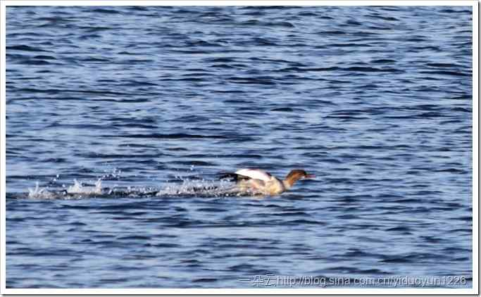 20111023-501_thumb15