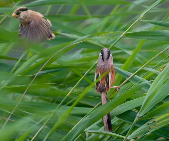 萌态可掬的鈥溦鸬┬∪糕☆★ 萌态可掬的鈥溦鸬┬∪糕☆★
