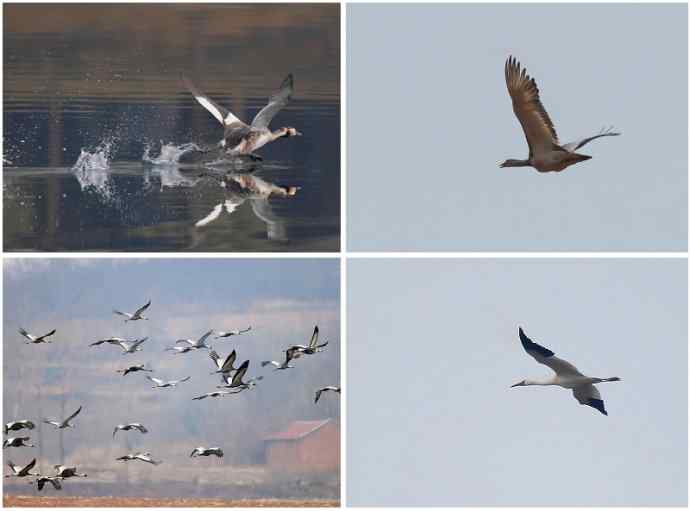 【人间四月天】