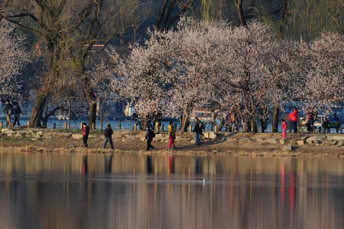 清明假日惬意的午后时光