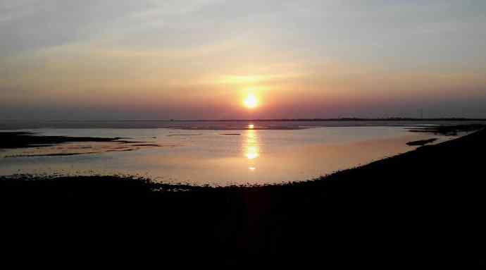 【新鸟】白额雁 wbr图牧吉湿地初探 【新鸟】白额雁 wbr图牧吉湿地初探