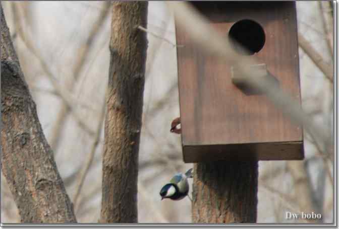 点击图片或使用键盘← →翻页