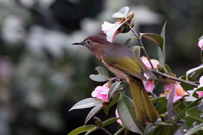 杭州老郑摄影续