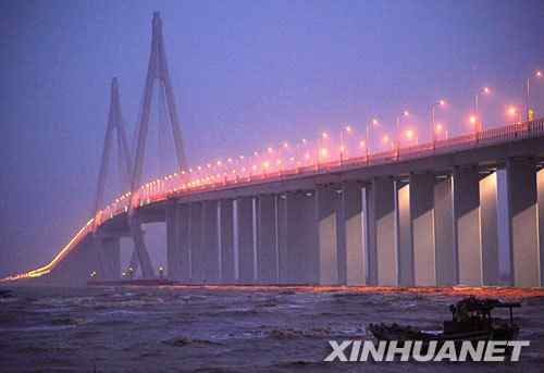 杭州湾大桥鸟撞频繁 杭州湾大桥鸟撞频繁