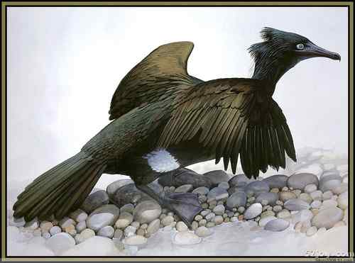 世界灭绝动物画像大全