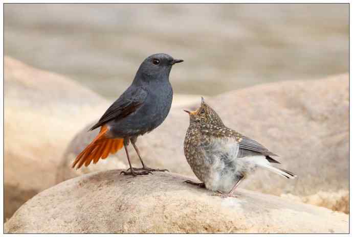 【I 'd never find a love like this】（父爱如山）