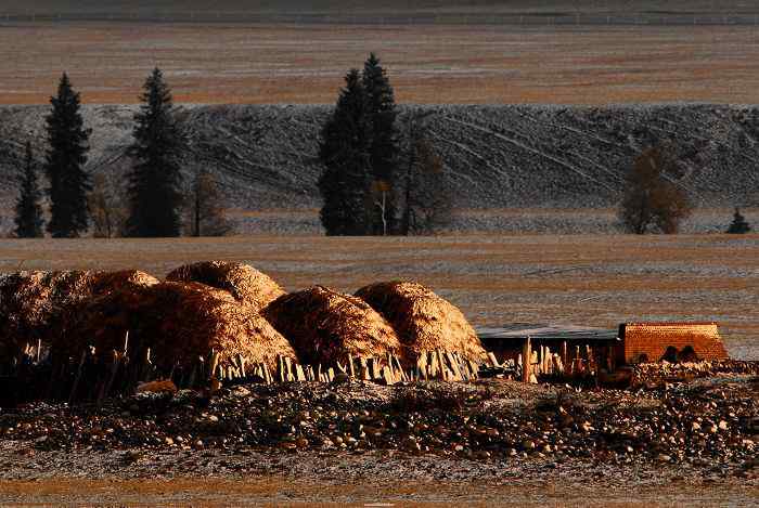 大尤鲁斯盆地——大天鹅的繁殖地