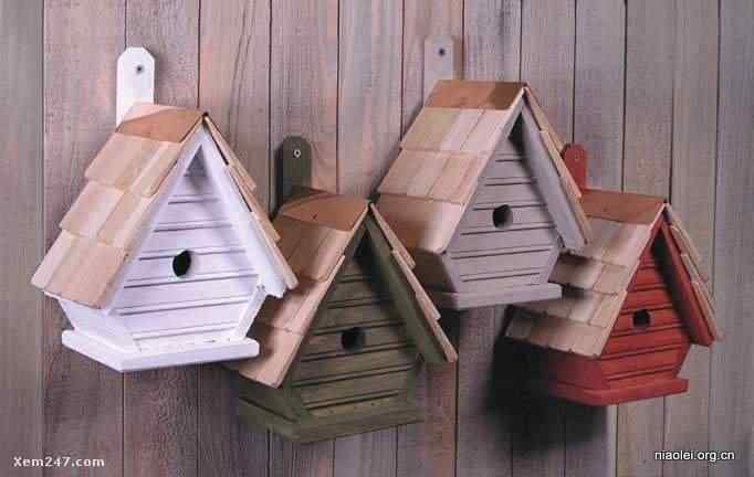 [组图]国外精致别致的鸟窝(40p)