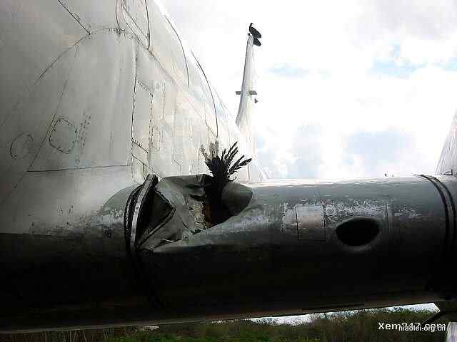 [组图]飞机被鸟撞得稀里哗啦