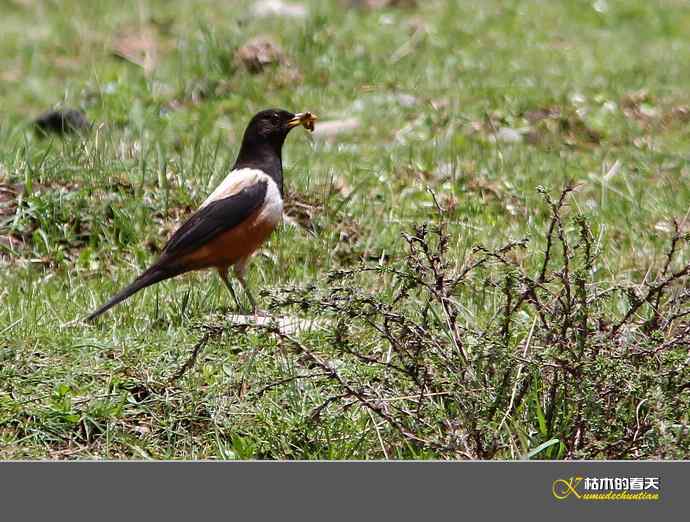 记录鈥溩乇澈谕佛粹