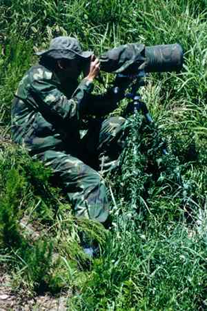 鸟类摄影是为了什么?! 鸟类摄影是为了什么?!