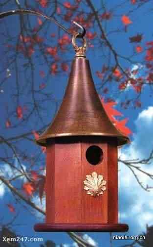 [组图]国外精致别致的鸟窝(40p)