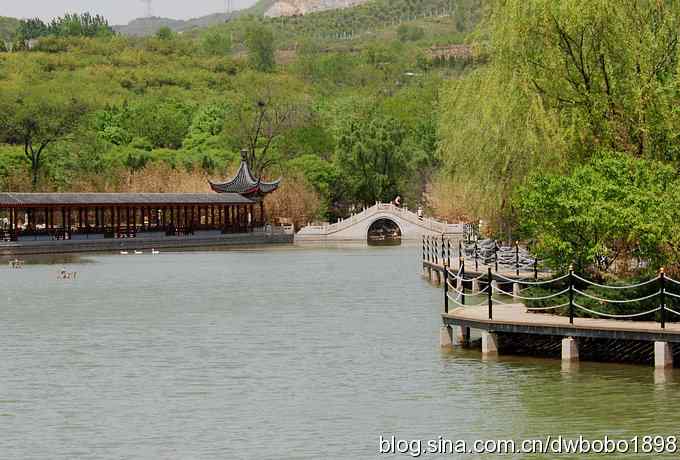 朱雀和北宫的鸟