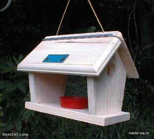 [组图]国外精致别致的鸟窝(40p)