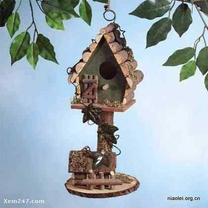 [组图]国外精致别致的鸟窝(40p)