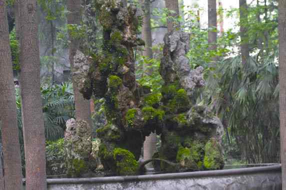 文殊院鸟儿快乐饮水