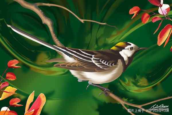 [组图]唯美的印度数字绘画 花草鸟类(47p)