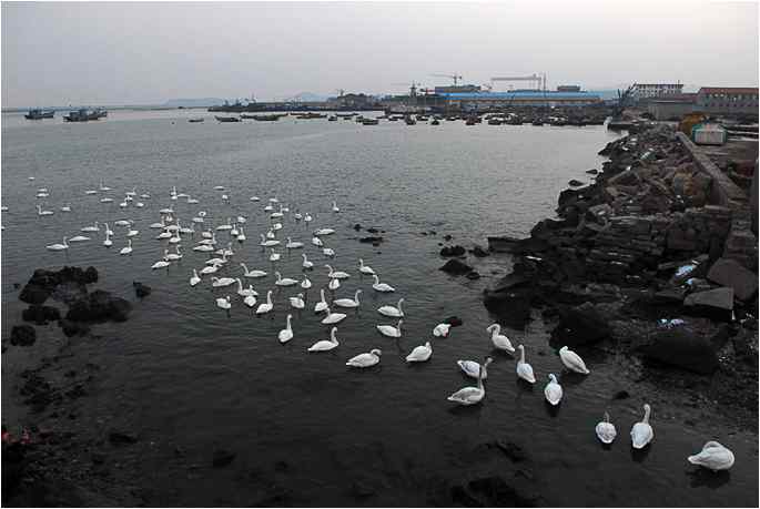 点击图片或使用键盘← →翻页