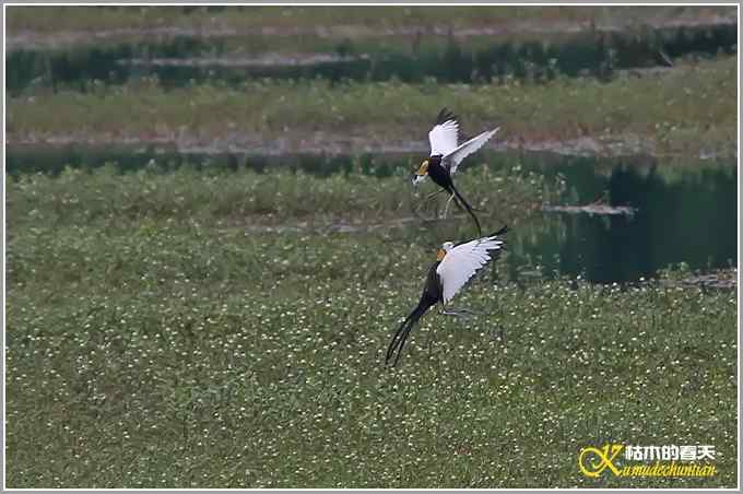 记录鈥溗翕潯菊掌