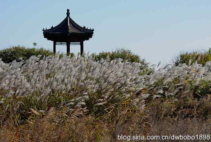 菩提岛：人文景观和观鸟基地