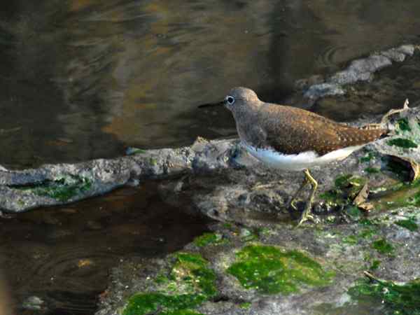 孤独的美丽（组图，17张图片）