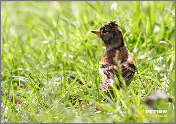 距离产生美【照片】 距离产生美【照片】