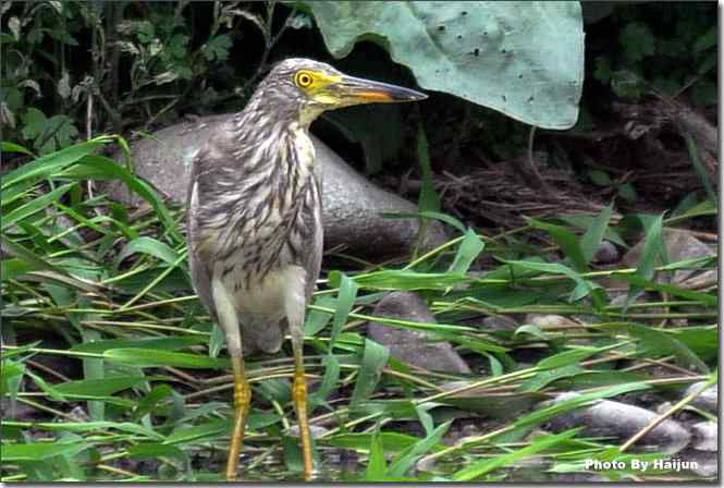  点击图片或使用键盘← →翻页