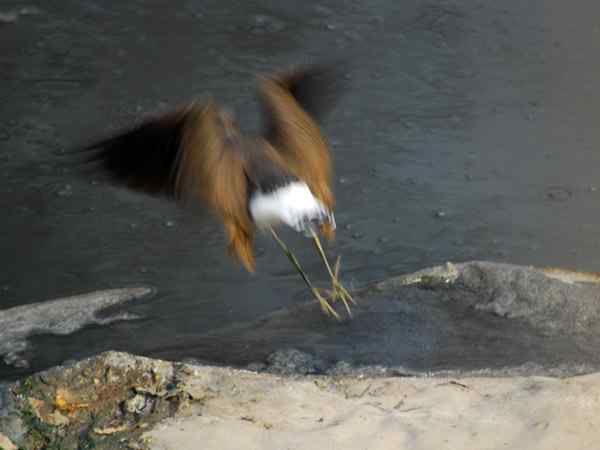 孤独的美丽（组图，17张图片）