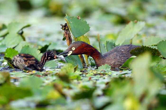 杭州老郑摄影续
