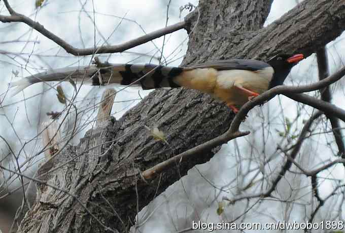 秋到白河湾 秋到白河湾
