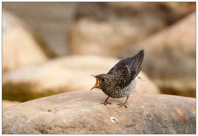 【I 'd never find a love like this】（父爱如山）