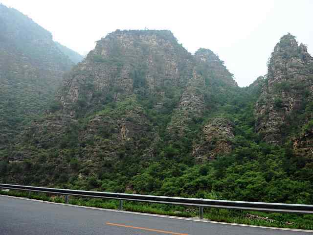 蒲洼围剿蓝矶鸫