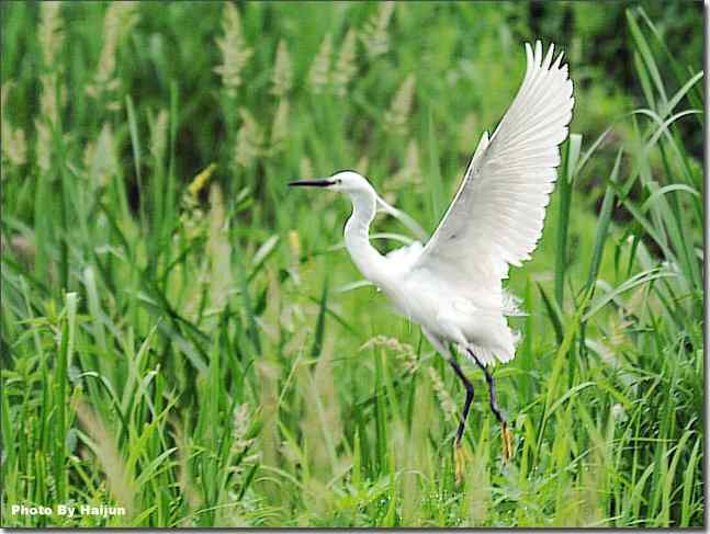  点击图片或使用键盘← →翻页