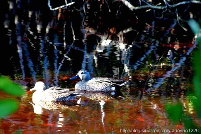 2012 Florida 105 2012 Florida 105