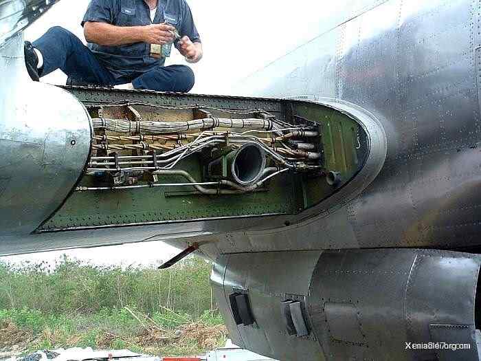 [组图]飞机被鸟撞得稀里哗啦