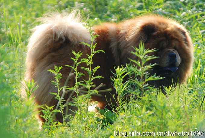 鸟友同游怀沙河