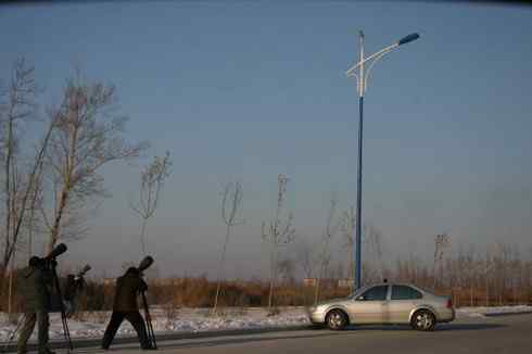 大庆猛鸮的生物链