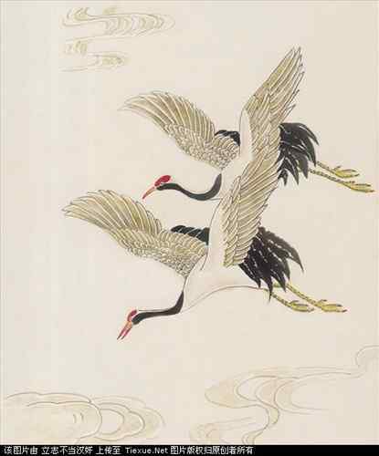 吉祥鸟图片（40P）