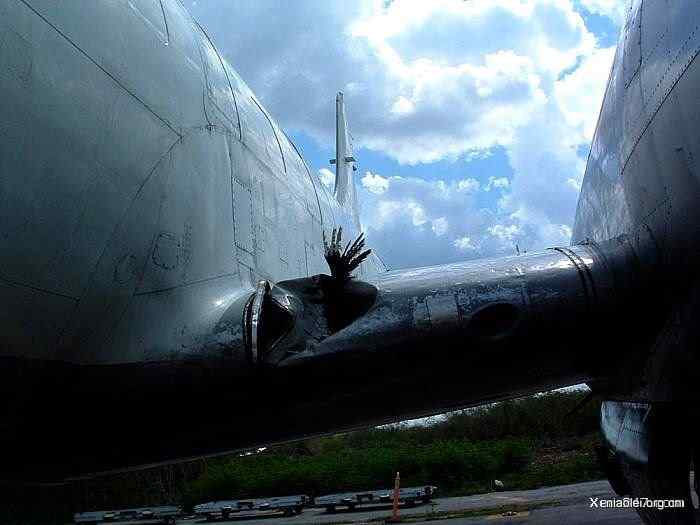 [组图]飞机被鸟撞得稀里哗啦