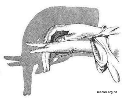 各种动物的手影